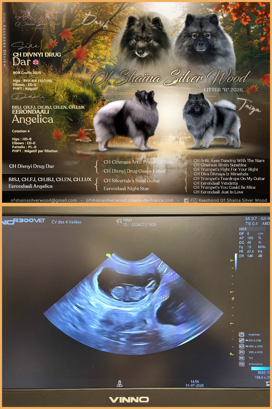 Gestation confirmée : une nouvelle aventure commence !