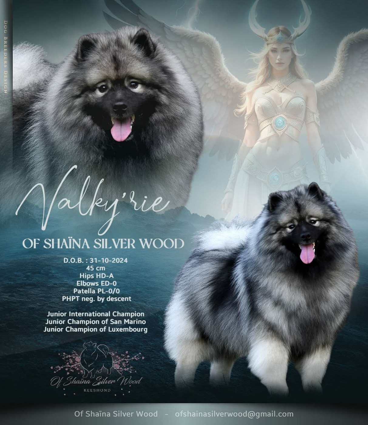 Valky'rie Of Shaïna Silver Wood